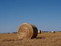 Round Hay Bales In Alberta Prairie Field Royalty Free Stock Photo