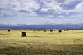 Round hay bales on the Alberta prairies Royalty Free Stock Photo