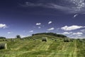 Round hay bales on the Canadian prairies Royalty Free Stock Photo