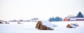 Round hay bales covered with snow in a farm field panoramic Royalty Free Stock Photo