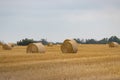 Round Hay Bales on Farmer`s Field on Prairie Royalty Free Stock Photo