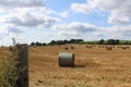 Round hay bales in a field in the British countryside being harvested Wakefield, West Yorkshire UK
