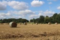 Round hay bales in a field in the British countryside being harvested Wakefield, West Yorkshire UK