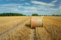 Round hay bales on the field, forest on the horizon and white clouds on the blue sky in Nowiny, Poland Royalty Free Stock Photo