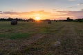 Round hay bales on field at golden sunset Royalty Free Stock Photo