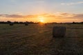 Round hay bales on field at golden sunset Royalty Free Stock Photo