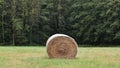 Round hay bales in a field under a blue sky with clouds during an autumn day.