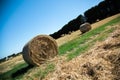 Round Hay Bales Royalty Free Stock Photo