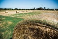 Round Hay Bales Royalty Free Stock Photo