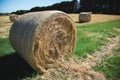 Round Hay Bales Royalty Free Stock Photo