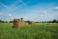 Round hay bales on a green meadow with white flowers and clouds on a sky Royalty Free Stock Photo