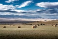 Round hay bales on a harvested agriculture field overlooking the Cowboy Trail and Eastern Slopes of the Canadian Rockies Royalty Free Stock Photo