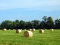 Round hay bales just off the baler in a country field Royalty Free Stock Photo