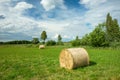 Round hay bales lying on a green meadow Royalty Free Stock Photo