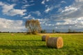 Round hay bales in the meadow, tree and clouds in the sky