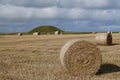 Round hay bales on Orkney, Scotland, UK Royalty Free Stock Photo