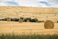 Round Hay bales on open prairies after fall harvest in Rocky View County Alberta Canada Royalty Free Stock Photo