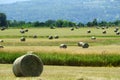 Round Hay Bales in pasture above Cayuga Lake Fingerlakes Royalty Free Stock Photo