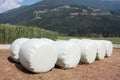 Round hay bales in plastic wrap cover Royalty Free Stock Photo