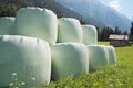 Round hay bales in plastic wrap cover Royalty Free Stock Photo