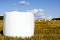 Round hay bales in plastic wrap cover Royalty Free Stock Photo