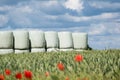 Round hay bales in plastic wrap cover stacked outdoors Royalty Free Stock Photo