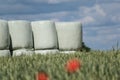 Round hay bales in plastic wrap cover stacked outdoors Royalty Free Stock Photo