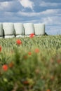 Round hay bales in plastic wrap cover stacked outdoors Royalty Free Stock Photo