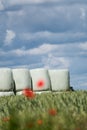 Round hay bales in plastic wrap cover stacked outdoors Royalty Free Stock Photo