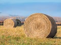 Round Hay Bales Royalty Free Stock Photo