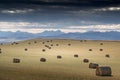 Round hay bales sit on a harvested field overlooking the Canadian Rockies Royalty Free Stock Photo