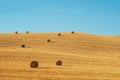 Round hay bales on stubble field of Tuscany. Royalty Free Stock Photo