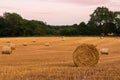 Round hay bales at sunset on farmland in West Sussex, UK Royalty Free Stock Photo