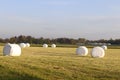 Round Hay Bales in white plastic lying on farm field Royalty Free Stock Photo