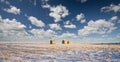 Round hay bales on a winter harvested field Royalty Free Stock Photo