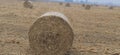 Round hay bundle Hay bale with blur background Royalty Free Stock Photo