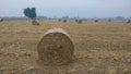Round hay bundle Hay bale with blur background & blue sky Royalty Free Stock Photo