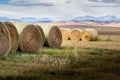 Round hay rolls stacked in a harvested field in the Alberta prairies near the Longview Alberta Royalty Free Stock Photo