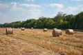 Round haystacks on a field of straw, on a sunny summer day, against a background of sky and trees Royalty Free Stock Photo