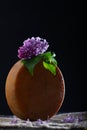 Round head of hard cheese with a branch of lilac on a black background. Vertical photo. Copy of the space Royalty Free Stock Photo