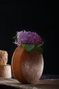 Round head of hard cheese with a sprig of lilac on a black background. Vertical photo. Copy of the space. The concept of still Royalty Free Stock Photo