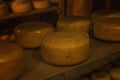 Round heads of cheese on wooden shelves in the store. Homemade production of popular dairy products. Close-up Royalty Free Stock Photo