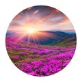 Round icon of nature with landscape. Colorful summer sunrise with fields of blooming rhododendron flowers. Amazing outdoors scene
