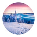 Round icon of nature with landscape. Incredible winter sunrise in Carpathian mountains with snow covered fir trees. Photography in