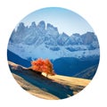 Round icon of nature with landscape. Lonely tree in Santa Maddalena village in front of the Geisler or Odle Dolomites Group, Dolom Royalty Free Stock Photo