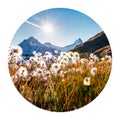 Round icon of nature with landscape. Sunny morning scene of Bachalp lake Bachalpsee with feather grass flowers, Swiss alps, Grin Royalty Free Stock Photo