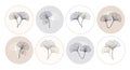 Round icons with ginkgo biloba leaves, set, pastel colors. Social media templates vector Royalty Free Stock Photo