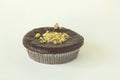 Round isolated brown chocolate brownie cupcake in a paper basket sprinkled with walnuts on a white background close-up Royalty Free Stock Photo