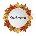 Round label with autumn maple leaves. Autumn frame.