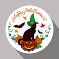 Round label with black cat in witch hat, pumpkin and hand drawn text `Happy Halloween!` Royalty Free Stock Photo